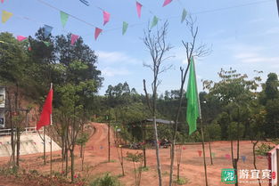 农场模拟乐趣盘点:精选热门游戏推荐,体验农业新风尚 农场模拟乐趣盘点:精选热门游戏推荐,体验农业新风尚