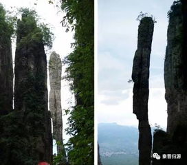 揭秘三角洲行动零号大坝:鸟窝分布之谜,探秘之旅！