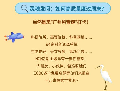 探索精选:必玩科学游戏,开启知识之旅 探索精选:必玩科学游戏,开启知识之旅