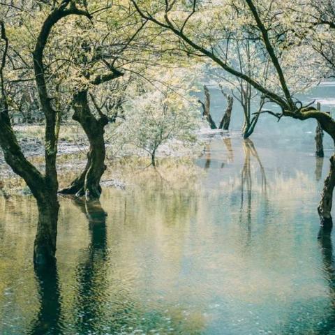 热门下载：盘点高人气第一人称游戏推荐宝藏