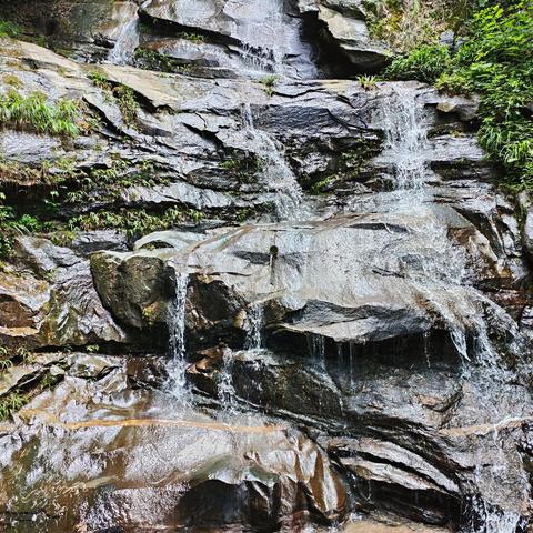 十大精选放松游戏，盘点必玩休闲时光秘籍