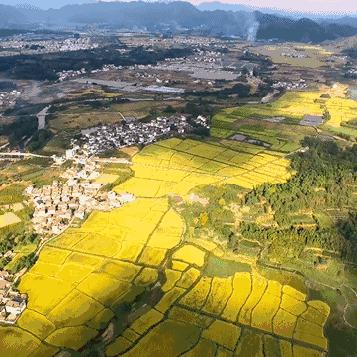 时光公主:邂逅秘籍,快速刷材攻略新解 时光公主:邂逅秘籍,快速刷材攻略新解