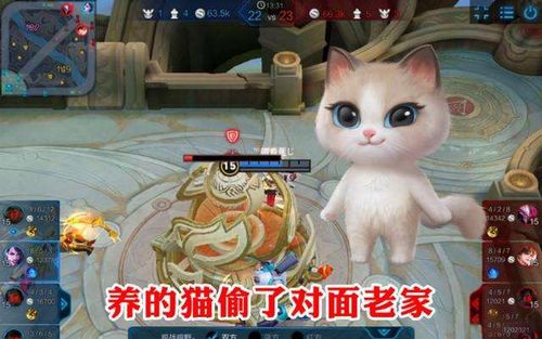 猫游戏盘点:揭秘十大耐玩猫类游戏排行精选 猫游戏盘点:揭秘十大耐玩猫类游戏排行精选