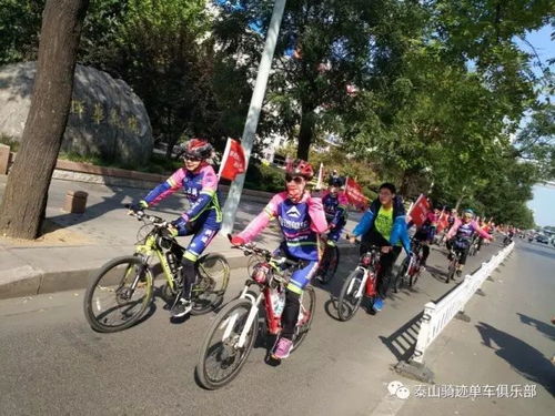 热门骑行游戏盘点:探索最佳骑行体验新境界 热门骑行游戏盘点:探索最佳骑行体验新境界