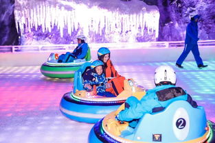 精选雪游戏推荐:冬日畅玩秘籍大公开 精选雪游戏推荐:冬日畅玩秘籍大公开