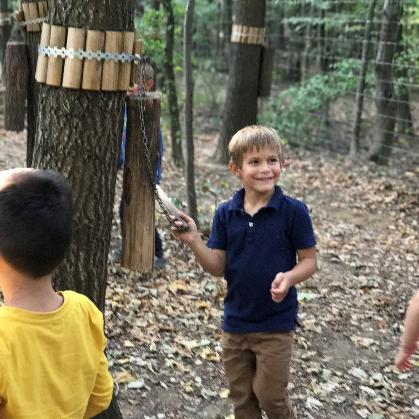 动物森林攻略:老鼠逆袭新攻略,揭秘高效升级秘籍 动物森林攻略:老鼠逆袭新攻略,揭秘高效升级秘籍