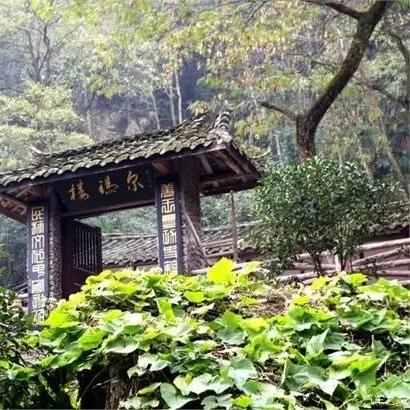 浮路病院全章攻略:深度解析,通关秘籍大公开 浮路病院全章攻略:深度解析,通关秘籍大公开