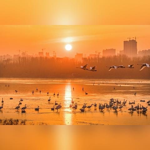 城市营造游戏必玩精选,探索无限创意新境界 城市营造游戏必玩精选,探索无限创意新境界