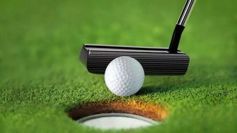 十大精选必玩迷你高尔夫,体验极致休闲新风尚 十大精选必玩迷你高尔夫,体验极致休闲新风尚