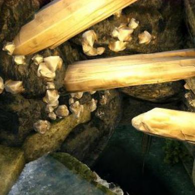 《辐射4》三款DLC大揭秘!季票价格狂飙预警! 《辐射4》三款DLC大揭秘!季票价格狂飙预警!