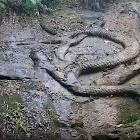 最新宝藏探秘:揭秘热门寻宝游戏排行 最新宝藏探秘:揭秘热门寻宝游戏排行