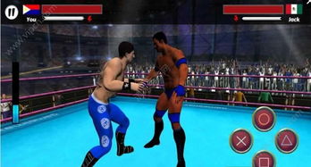 热门摔角游戏盘点:揭秘最受欢迎的竞技盛宴 热门摔角游戏盘点:揭秘最受欢迎的竞技盛宴