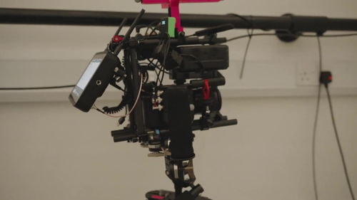 完蛋2花絮揭秘,开发者日志新动态及古装美少女亮相！