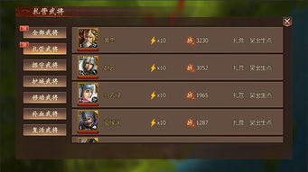 九州三国志平民V7高效升级攻略,解锁全新策略价值 九州三国志平民V7高效升级攻略,解锁全新策略价值