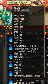 《幻想生活i龙圈圈速刷攻略：高效重置石获取法》