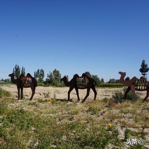 悠久之树贫民光队攻略:深度解析回响指南新视角 悠久之树贫民光队攻略:深度解析回响指南新视角