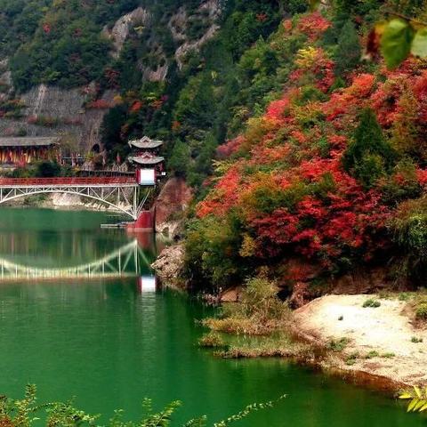 水墨游戏盛宴:最新排行榜揭示水墨魅力新巅峰 水墨游戏盛宴:最新排行榜揭示水墨魅力新巅峰