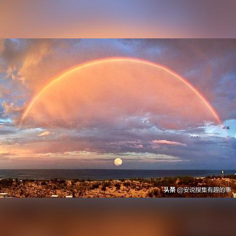 《彩虹六号》精准射击BUG修复！实战体验大提升