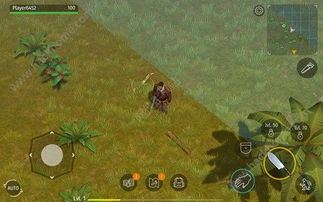 三鼠开局攻略:揭秘动物森林高效生存之道 三鼠开局攻略:揭秘动物森林高效生存之道