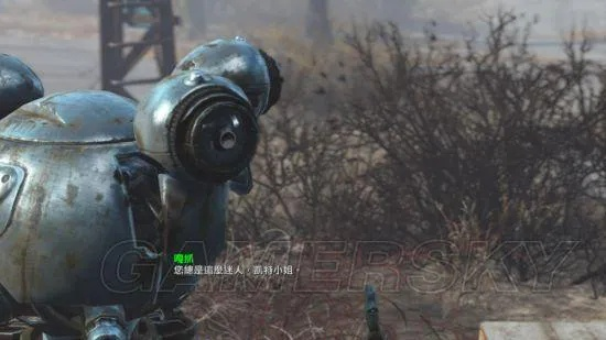 《辐射4》全队默契技能盘点:揭秘我最爱的队友! 《辐射4》全队默契技能盘点:揭秘我最爱的队友!