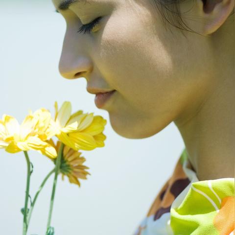 十大治愈系游戏盘点:探索心灵疗愈的全新体验 十大治愈系游戏盘点:探索心灵疗愈的全新体验