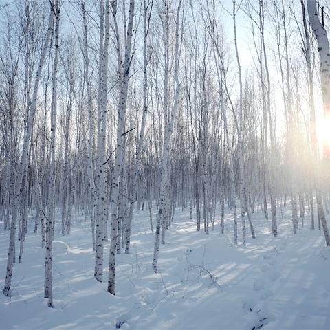 上古王冠雪原极光攻略：深度解析新视角