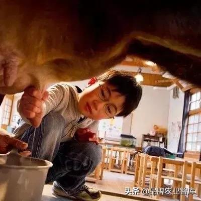 热门农业游戏盘点:揭秘十大人气榜单新风向 热门农业游戏盘点:揭秘十大人气榜单新风向