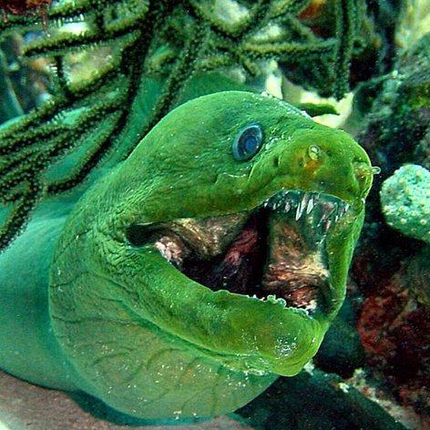 恶魔游戏盘点:十大热门必玩恶魔之作推荐 恶魔游戏盘点:十大热门必玩恶魔之作推荐