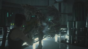 速通秘籍：揭秘最终庇护所高效攻略新技巧