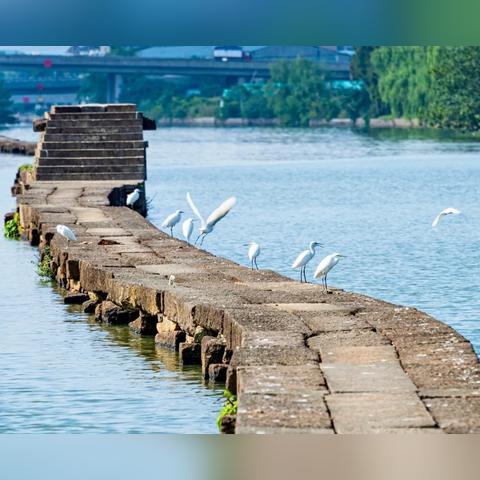 都市游戏盘点:十大经典排行,揭秘都市魅力新体验 都市游戏盘点:十大经典排行,揭秘都市魅力新体验