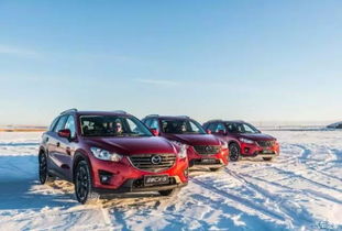 十大精选汽车模拟游戏,体验极致驾驶新境界 十大精选汽车模拟游戏,体验极致驾驶新境界