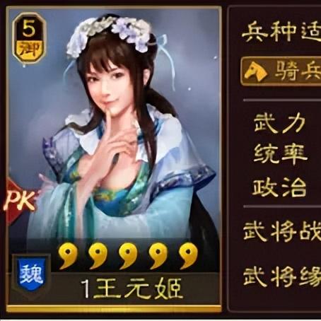 《三国志8重制版》武将养成攻略：高效提升指南
