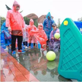 热门精选马拉松游戏盘点，深度解析收藏攻略