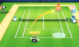 网球竞技巅峰:盘点十大热门网球游戏排行榜 网球竞技巅峰:盘点十大热门网球游戏排行榜