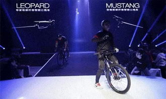 热门骑行游戏推荐:盘点最佳骑行乐趣体验 热门骑行游戏推荐:盘点最佳骑行乐趣体验