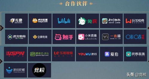 盘点电竞圈热门:揭秘高人气游戏榜单 盘点电竞圈热门:揭秘高人气游戏榜单