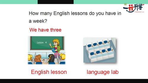 弹力果冻攻略：入门精通全解析，轻松上手新体验