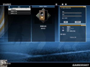 《FIFA 10》球迷商店全开+挑战模式解锁存档攻略秘籍 《FIFA 10》球迷商店全开+挑战模式解锁存档攻略秘籍