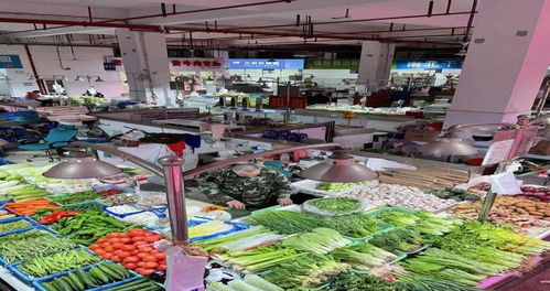 《菜市场模拟器》攻略:打造你的虚拟菜场帝国 《菜市场模拟器》攻略:打造你的虚拟菜场帝国