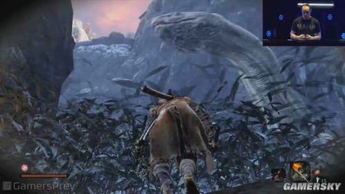 《只狼高效攻略:狮子猿与破戒僧简易BOSS战技巧》 《只狼高效攻略:狮子猿与破戒僧简易BOSS战技巧》