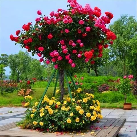 十大耐玩雪游戏盘点:揭秘冬季娱乐新宠 十大耐玩雪游戏盘点:揭秘冬季娱乐新宠