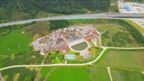 游戏行业发展、玩家痛点?如何快速解决看这里！