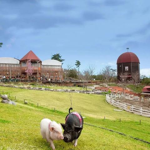 热门农场管理游戏精选:深度解析下载攻略 热门农场管理游戏精选:深度解析下载攻略