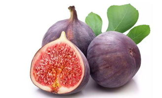 洋果子店ROSE独家揭秘:无花果食谱解锁新境界 洋果子店ROSE独家揭秘:无花果食谱解锁新境界