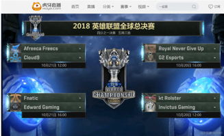 盘点热门网红游戏，揭秘最佳互动体验攻略