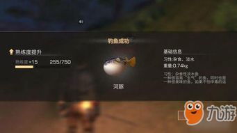 最新联机游戏盘点：揭秘十大热门排行榜！