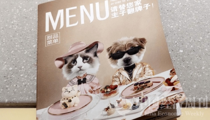 布偶动物盛宴:菜谱共创,美食新风尚 布偶动物盛宴:菜谱共创,美食新风尚