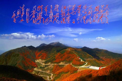 夜幕下的鸡鸣山:江南百景图光影秘境探幽 夜幕下的鸡鸣山:江南百景图光影秘境探幽