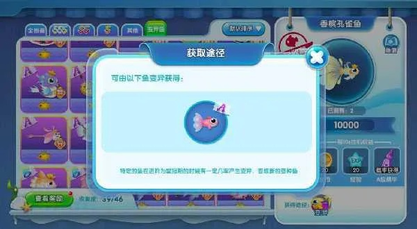 萌鱼泡泡高效喂食技巧，轻松升级攻略揭秘！