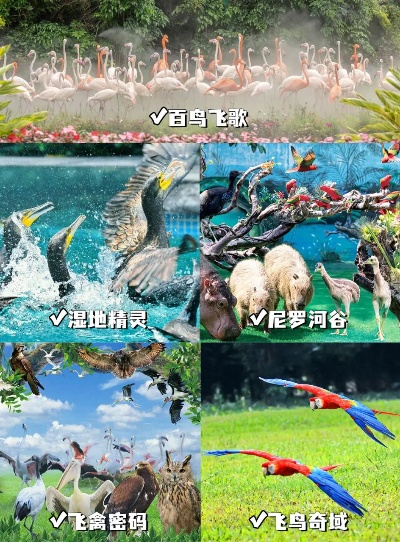 十大自然游戏盘点:探索最佳生态体验必玩清单 十大自然游戏盘点:探索最佳生态体验必玩清单